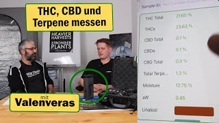 Wirkstoffe Und Terpene Messen Mit Dem Valenveras Testgerät