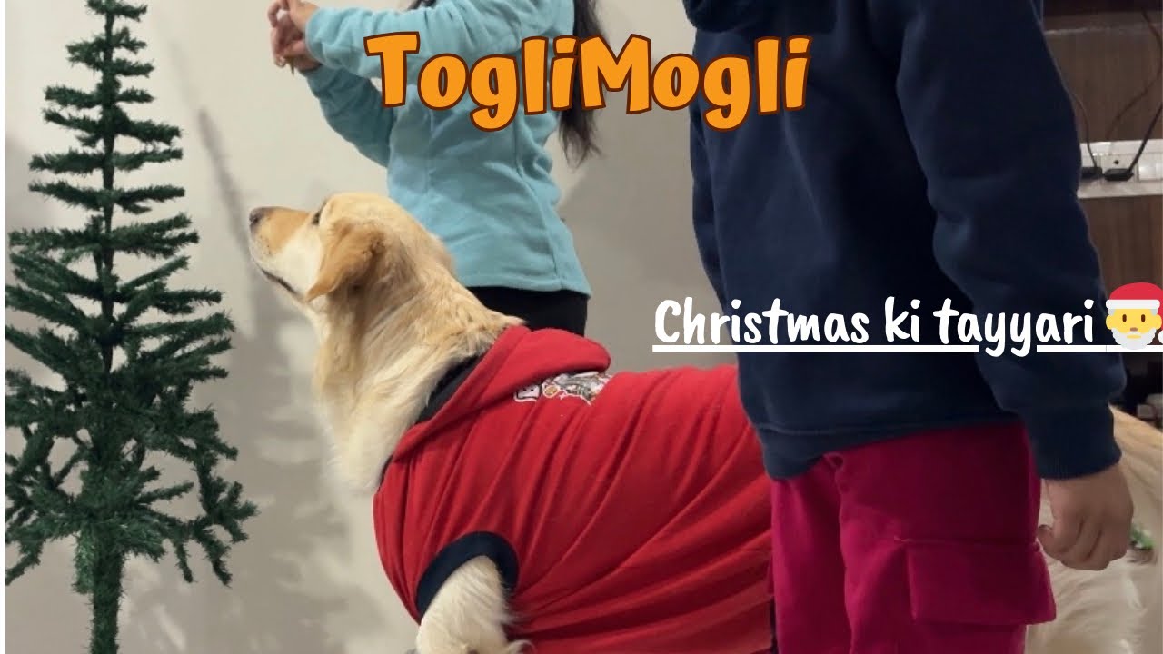 Christmas ki Tayyari🎅| Day 8 Vlog