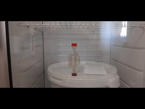 Брожение пива в