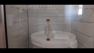 картинка: Брожение пива в домашних условиях (Эль) и разлив на карбонизацию.