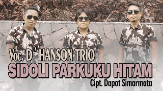 D'Hanson Trio - Sidoli Parkuku Hitam (Official Music Video)