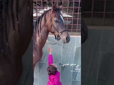 ٢٧ أبريل، ٢٠٢٣