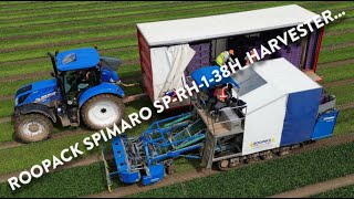 4Kᵁᴴᴰ May 2024: Roopack Spimaro SP-RH-1-38H salad harvester cutting spinach in Suffolk