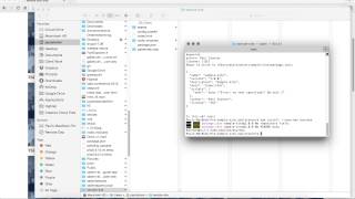 Setting up and using NPM (Node Package Manager)