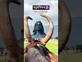 #Mahadev 🕉️ #HarHarMahadev #Bholenath #Shiva #Mahakal #Faith #SpiritualVibes #Devotion