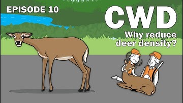 CWD Series Episode 10 - Why increase deer harvest for CWD management?