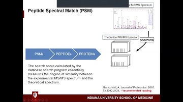 B4B: Module 8 - MS Data analysis