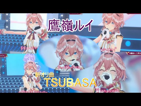 【鷹嶺ルイ】ルイ姉の新オリ曲を歌う「TSUBASA」【ホロライブ/鷹嶺ルイ】