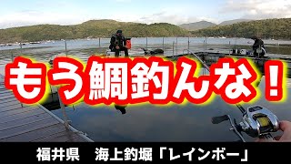【海上釣堀】「レインボー」鯛ばっかり釣れる・・、もう釣んな！