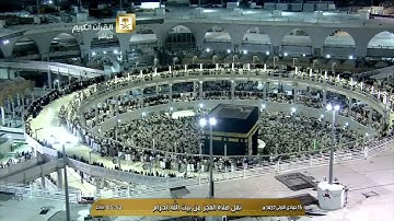 سورة النساء 92-104 - صلاة الفجر - الشيخ بندر بليله - الأربعاء 15 جمادى الأولى 1437