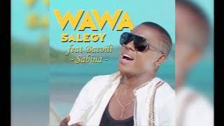 Wawa Salegy Ft. Bacoili - Sabina - audio