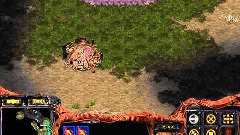 Starcraft Brood war Z vs T in Python 1.3 HeHe