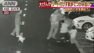 中国ではけんかに　「文明的に犬を飼おう」と杭州市(18/11/14)
