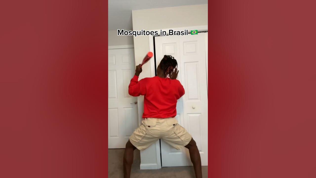 Mosquitoes in Brasil 🇧🇷