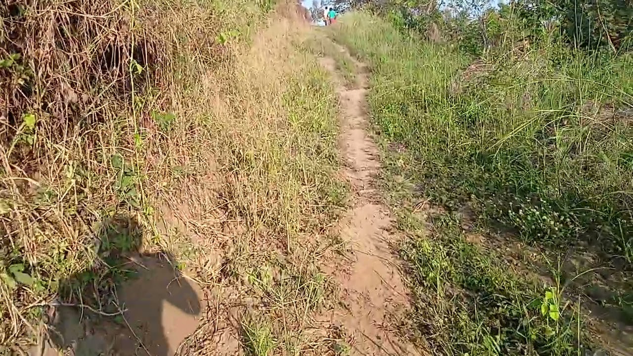 Santo Dios 😱 algo muy aterrador es cucharón los chicos vean 