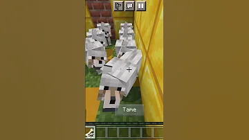 لما اطعم الكلاب في ماين كرافت ضربتوا بالغلط Minecraft 