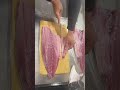 釣ったブリの捌き方【北海道・積丹産】