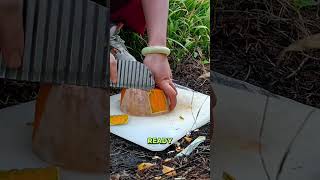 I Can Sing The Abcs.