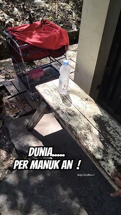 COD nan 🫣 #shorts #short #shortvideo #video #viralvideo #viralshorts #viral #comedy #funny #lucu #ok