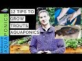 How to grow trout in aquaponics