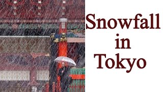 Tokyo hit by first November snow in 54 years | Oneindia News