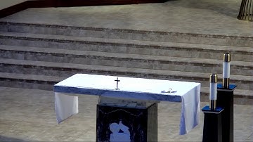 Active Matrix Networks, Inc. Live Stream