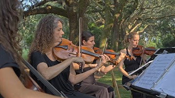 Perfect - Ed Sheeran, Palmetto String Quartet