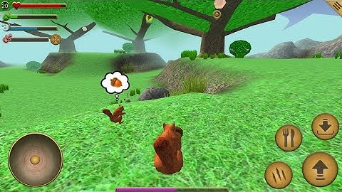 Squirrel Simulator HD Android Gameplay 2025