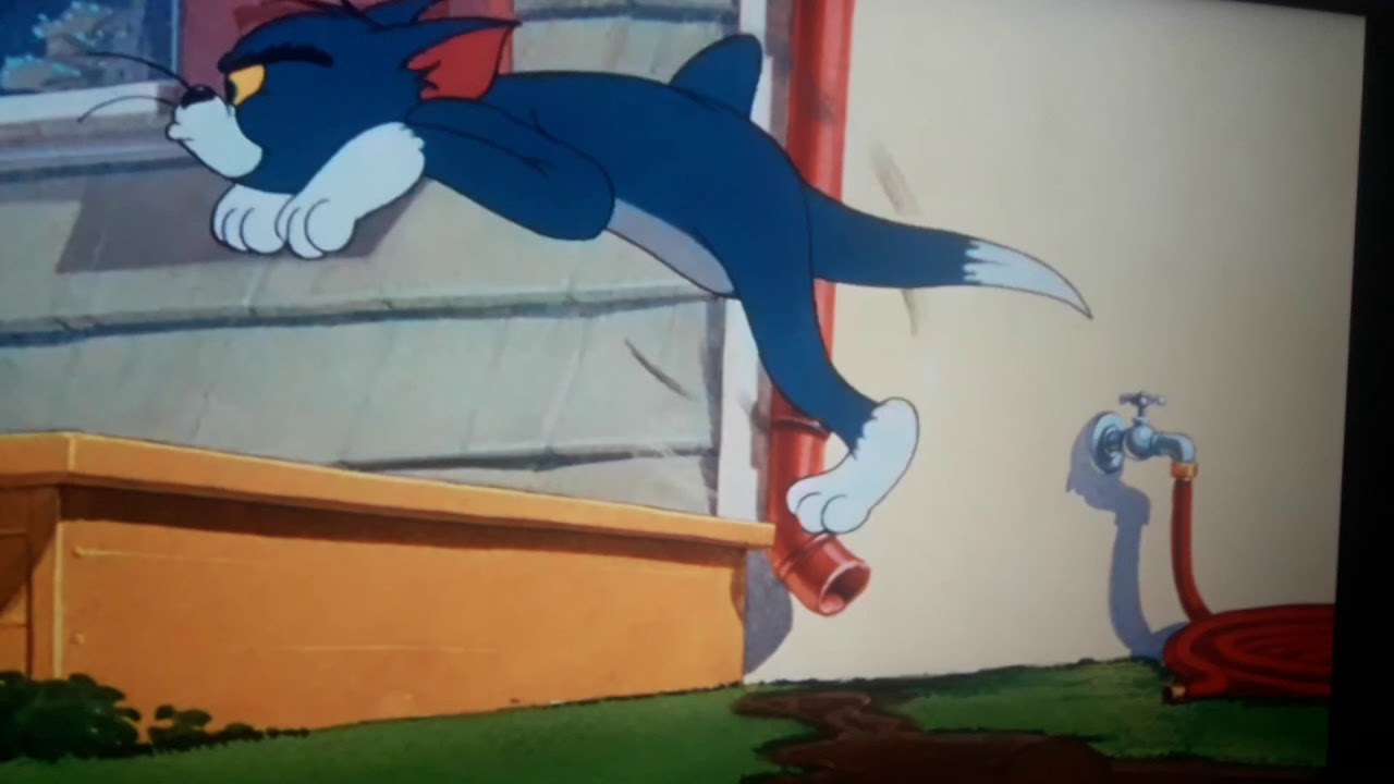 Tom and Jerry Chase the jerry but tom takes tyke angry spike this mud