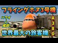 【A380】世界最大の旅客機、ANAフライングホヌを利用して日本へ帰国！　#ana #hawaii #a380
