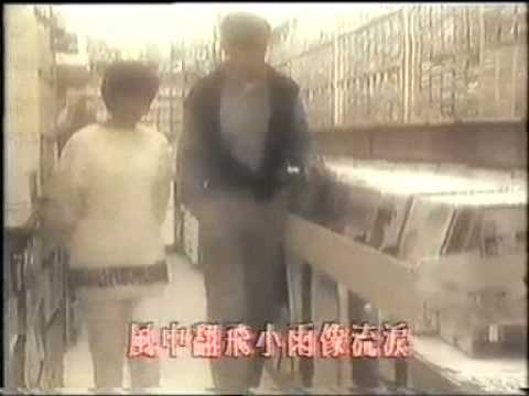 Shirley Kwan 關淑怡 シャーリー・カーン LP レコード 徳永英明 あなたのために Anatano Tameni - Shirley Kwan 關淑怡 - YouTube