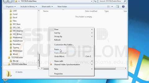Paste the contents of the clipboard into the TEST4UFolderNew folder on your desktop.