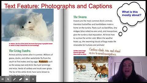 Lesson 2 Reading Nonfiction - Google Slides