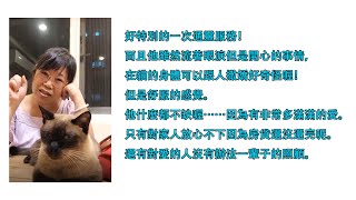【高薛琳姬】20201015 好特別的一次通靈服務!而且他雖然流著眼淚但是開心的事情,在貓的身體可以跟人撒嬌好奇怪喔!但是舒服的感覺。他什麼都不缺喔⋯⋯因為有非常多滿滿的愛。
