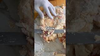 “Dry vs Wet Rendering: What Lab Testing Revealed About Tallow”