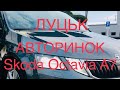 Луцьк авторинок Skoda Octavia A7