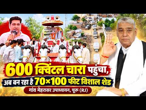 गांव मेहरासर उपाध्यायन, चूरू (राजस्थान) 600 क्विंटल चारा पहुंचा, अब बन रहा है 70×100 फीट विशाल शेड