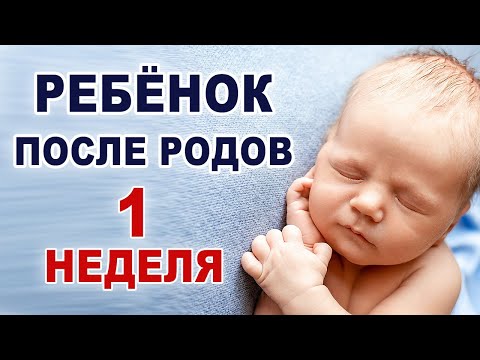 Что происходит и что нужно ребенку в первую неделю жизни? Ребенок на первой неделе жизни.