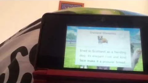 New Nintendogs + Cats FB Edition - Ep 1 ~ Getting my new puppy