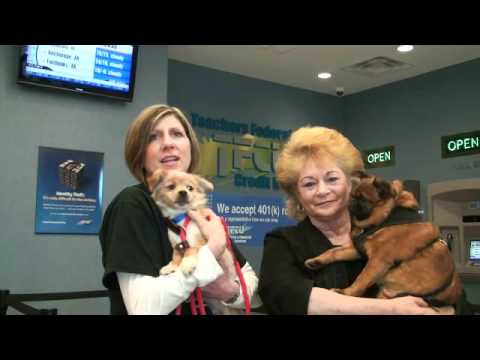 happy tails pet supply