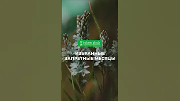 Избранные запретные месяцы | Абу Яхья Крымский