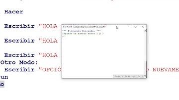 COMANDO SEGUN EN PSEINT