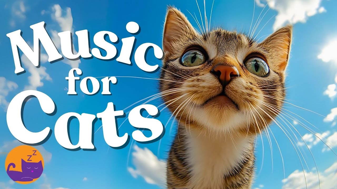 Gallery Detail: Relaxing Music For Cats Instant Peace For Anxious Cats