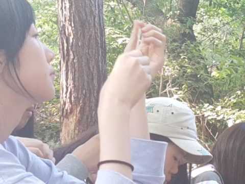 Fire starter 사용법 천호중 2학년 수련회