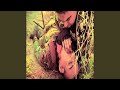 أمجد الصغير خاله