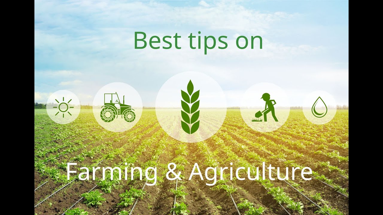 #SOBANUKIRWA MUHINZI