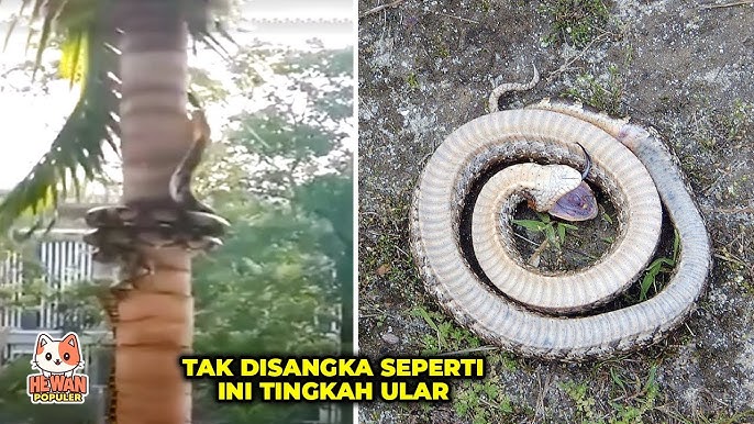 Irkutskdagi eng yaxshi porno tomosha qiling