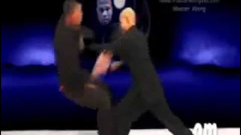 Tai Chi Combat application - old dvd preview