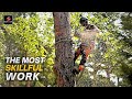 Fastest and most skillful worker ever  see the fastest tree cutting down skills shorts