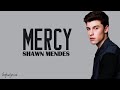 Shawn Mendes ~ mercy (lyrics)